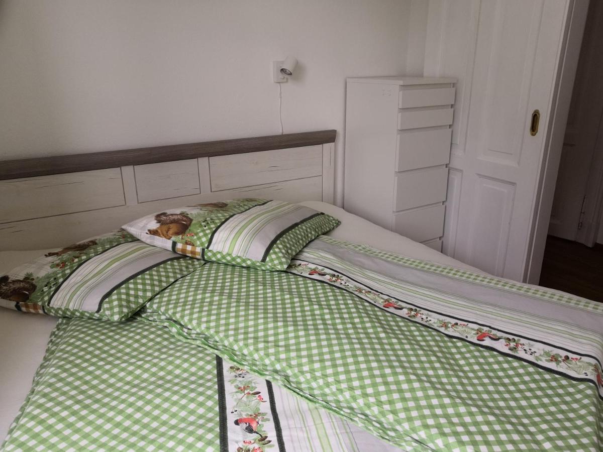 Wohnen Am See Villa Schroetter Direkt Am Traunsee Rindbach エクステリア 写真