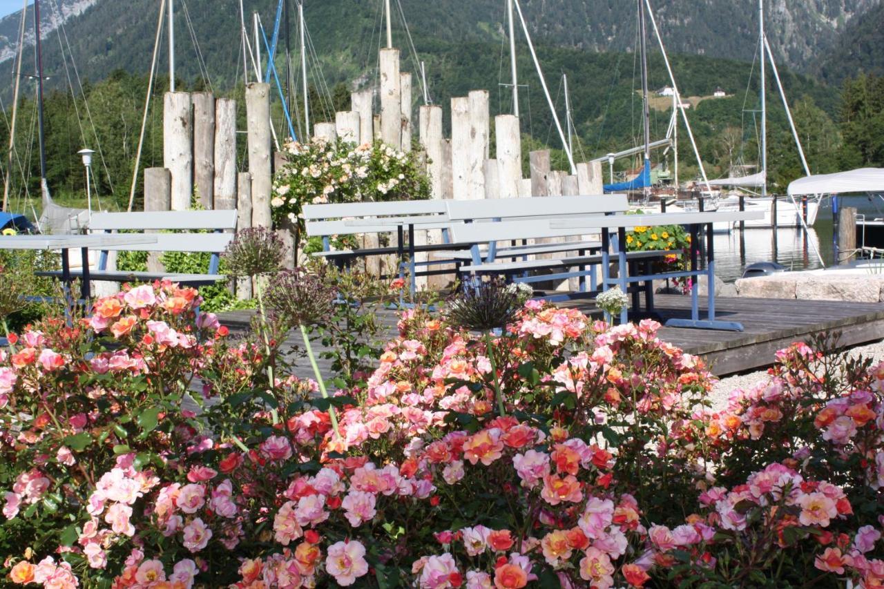 Wohnen Am See Villa Schroetter Direkt Am Traunsee Rindbach エクステリア 写真