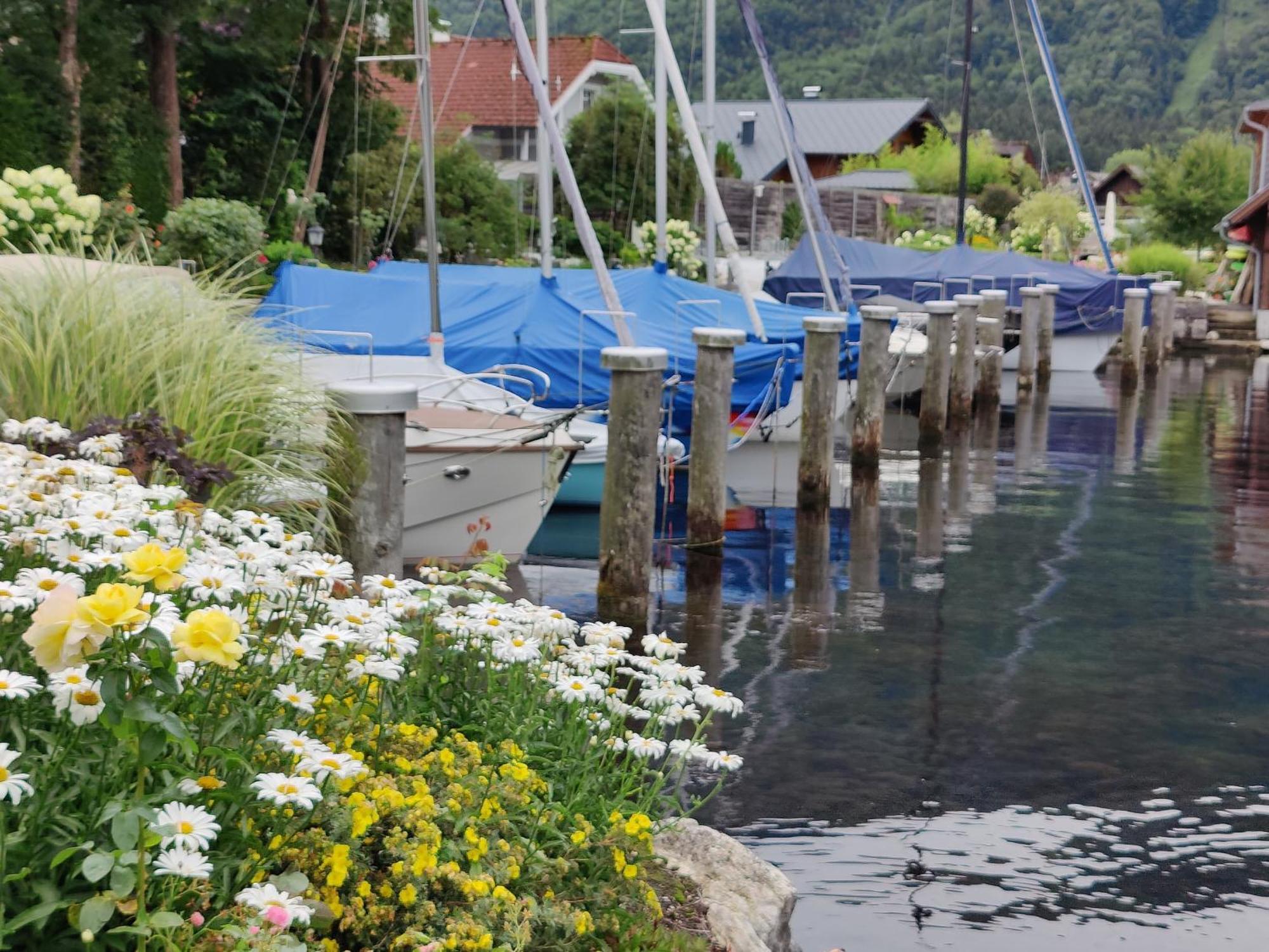 Wohnen Am See Villa Schroetter Direkt Am Traunsee Rindbach エクステリア 写真