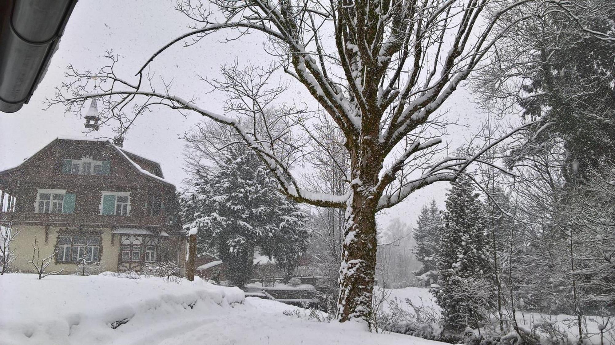Wohnen Am See Villa Schroetter Direkt Am Traunsee Rindbach エクステリア 写真